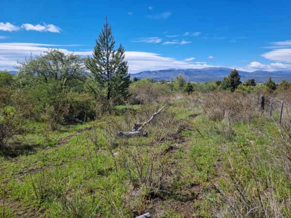 TERRENO EN LA LOCALIDAD DE TREVELIN -CHUBUT-