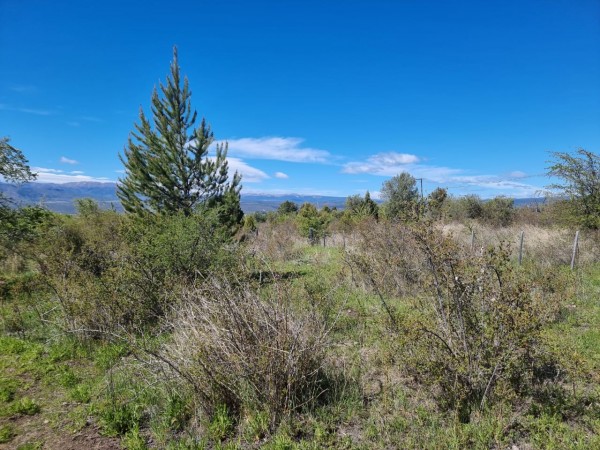 TERRENO EN LA LOCALIDAD DE TREVELIN -CHUBUT-