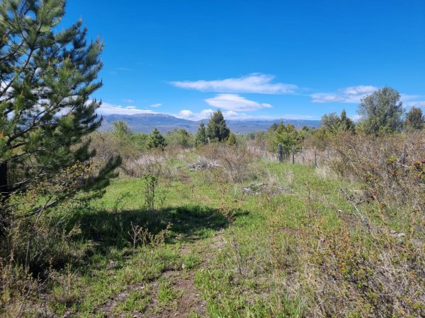 TERRENO EN LA LOCALIDAD DE TREVELIN -CHUBUT-