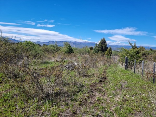 TERRENO EN LA LOCALIDAD DE TREVELIN -CHUBUT-