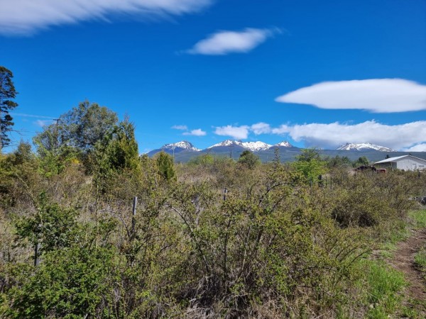 TERRENO EN LA LOCALIDAD DE TREVELIN -CHUBUT-