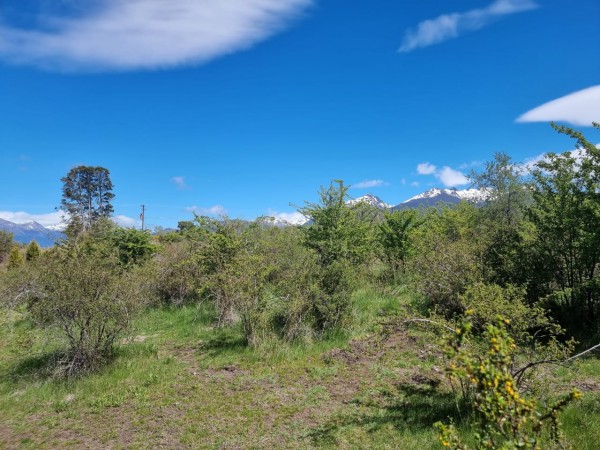 TERRENO EN LA LOCALIDAD DE TREVELIN -CHUBUT-