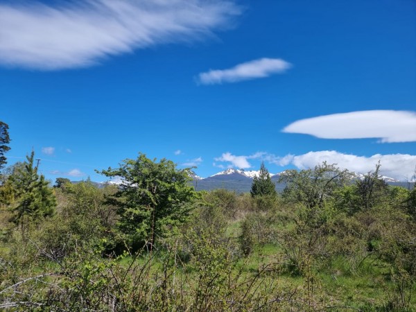 TERRENO EN LA LOCALIDAD DE TREVELIN -CHUBUT-