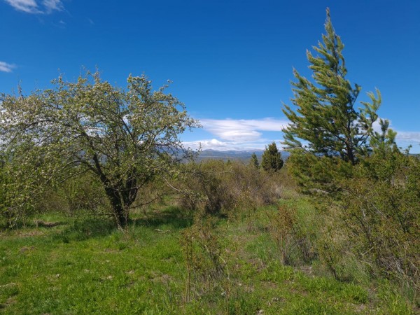 TERRENO EN LA LOCALIDAD DE TREVELIN -CHUBUT-