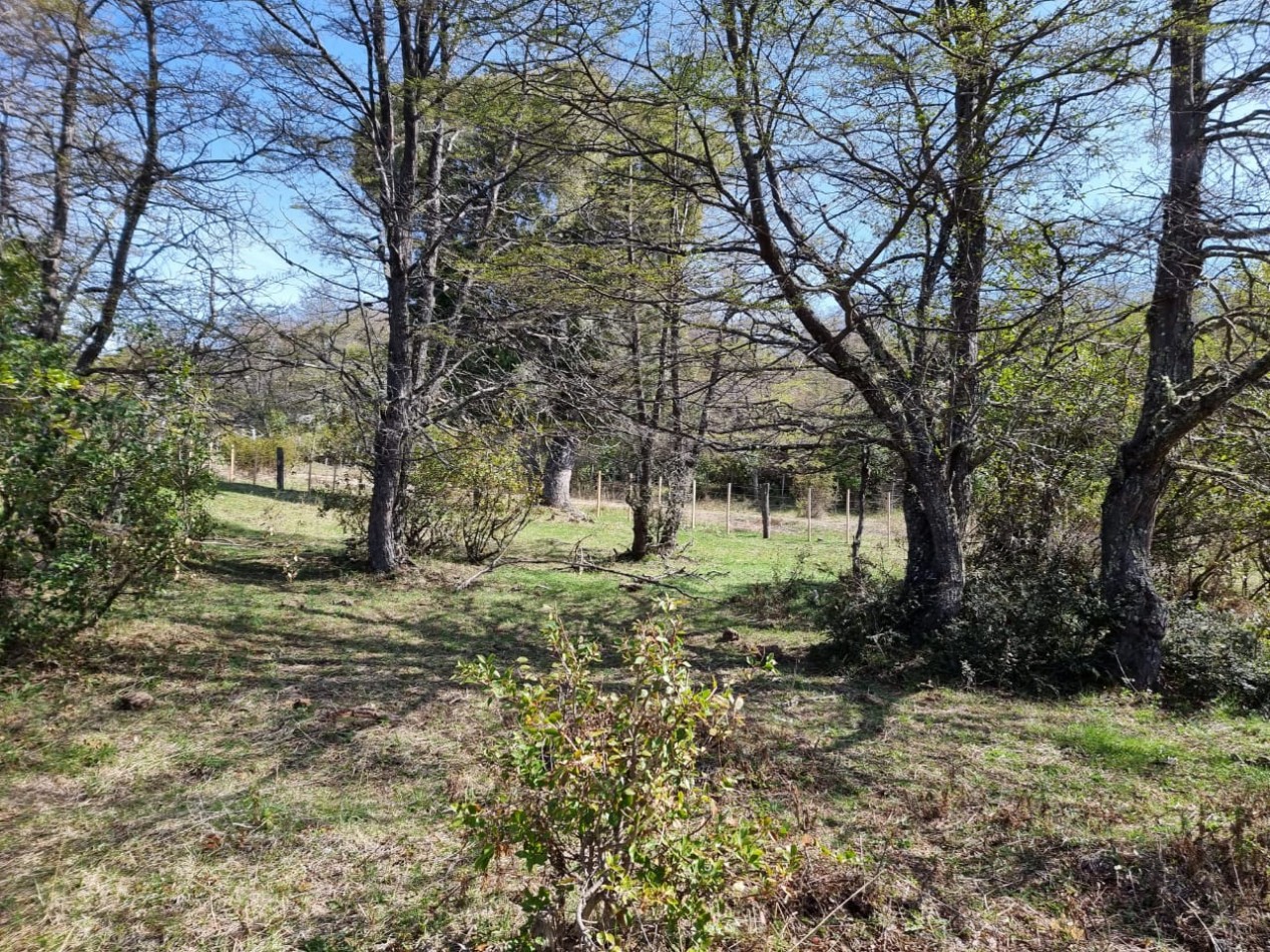 HERMOSO TERRENO DE 3,24 Has EN CORCOVADO CHUBUT