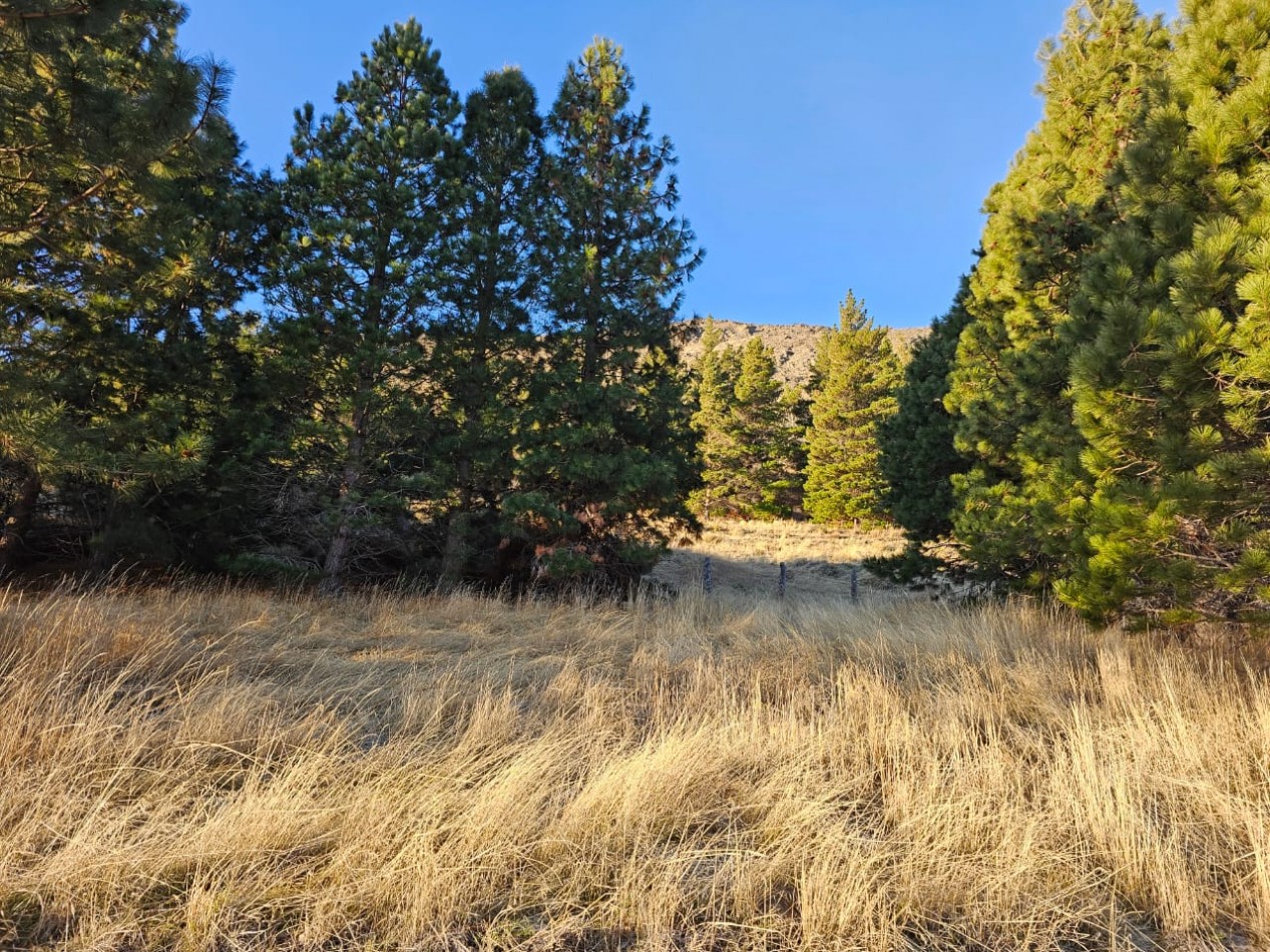 TERRENO EN LA LOCALIDAD DE ESQUEL CHUBUT