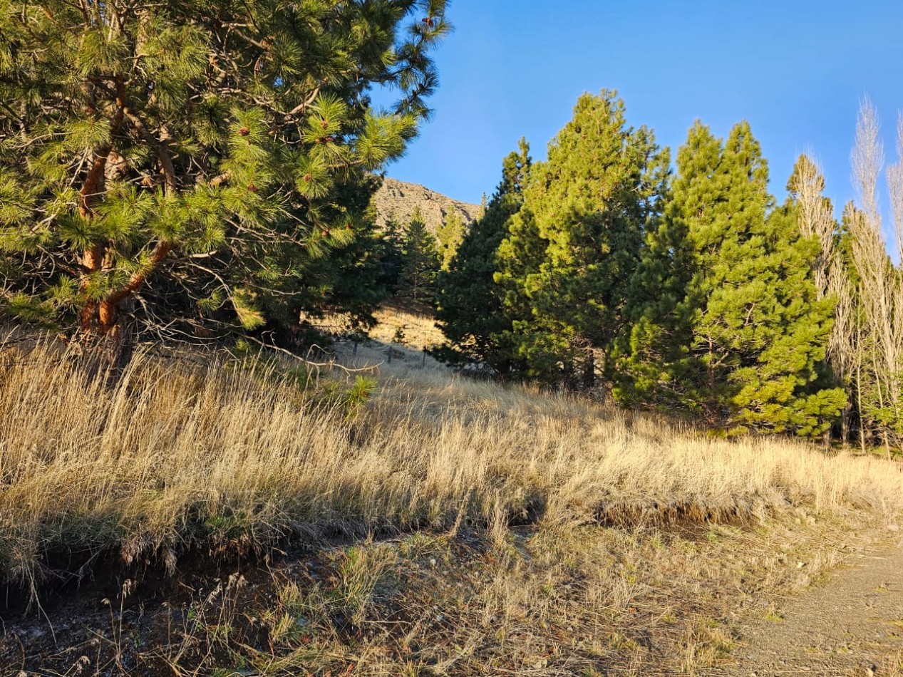 TERRENO EN LA LOCALIDAD DE ESQUEL CHUBUT