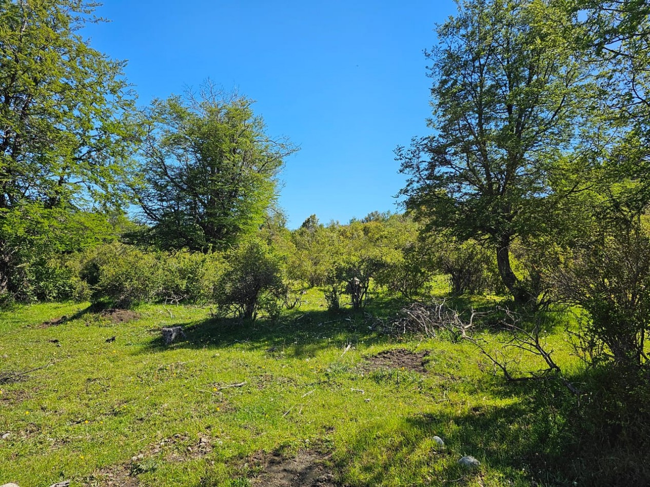 HERMOSO TERRENO EN SECCION LAGO LEZANA CHOLILA CHUBUT