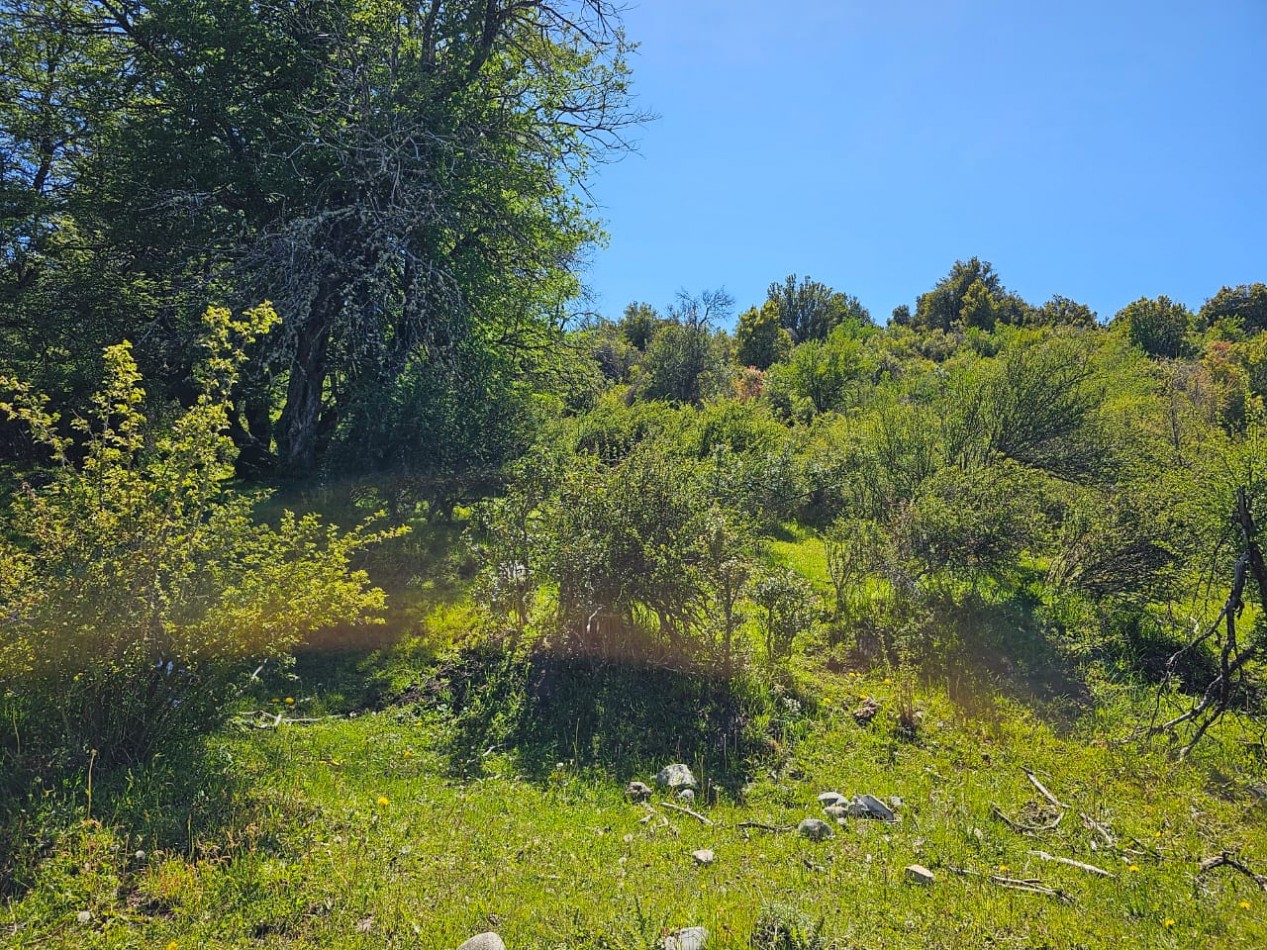 HERMOSO TERRENO EN SECCION LAGO LEZANA CHOLILA CHUBUT