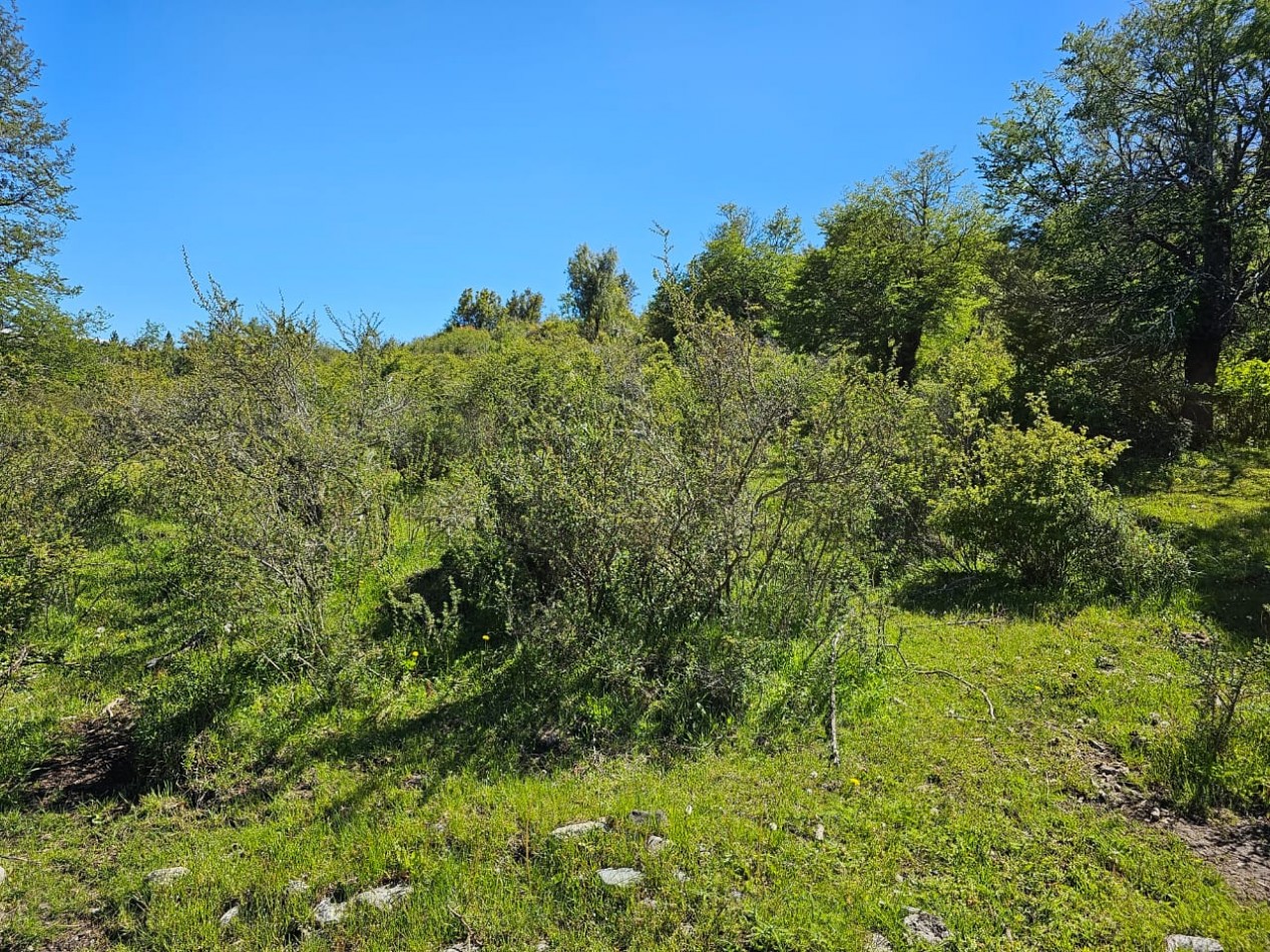 HERMOSO TERRENO EN SECCION LAGO LEZANA CHOLILA CHUBUT