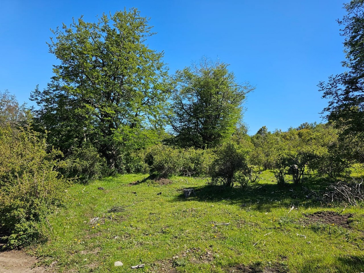 HERMOSO TERRENO EN SECCION LAGO LEZANA CHOLILA CHUBUT