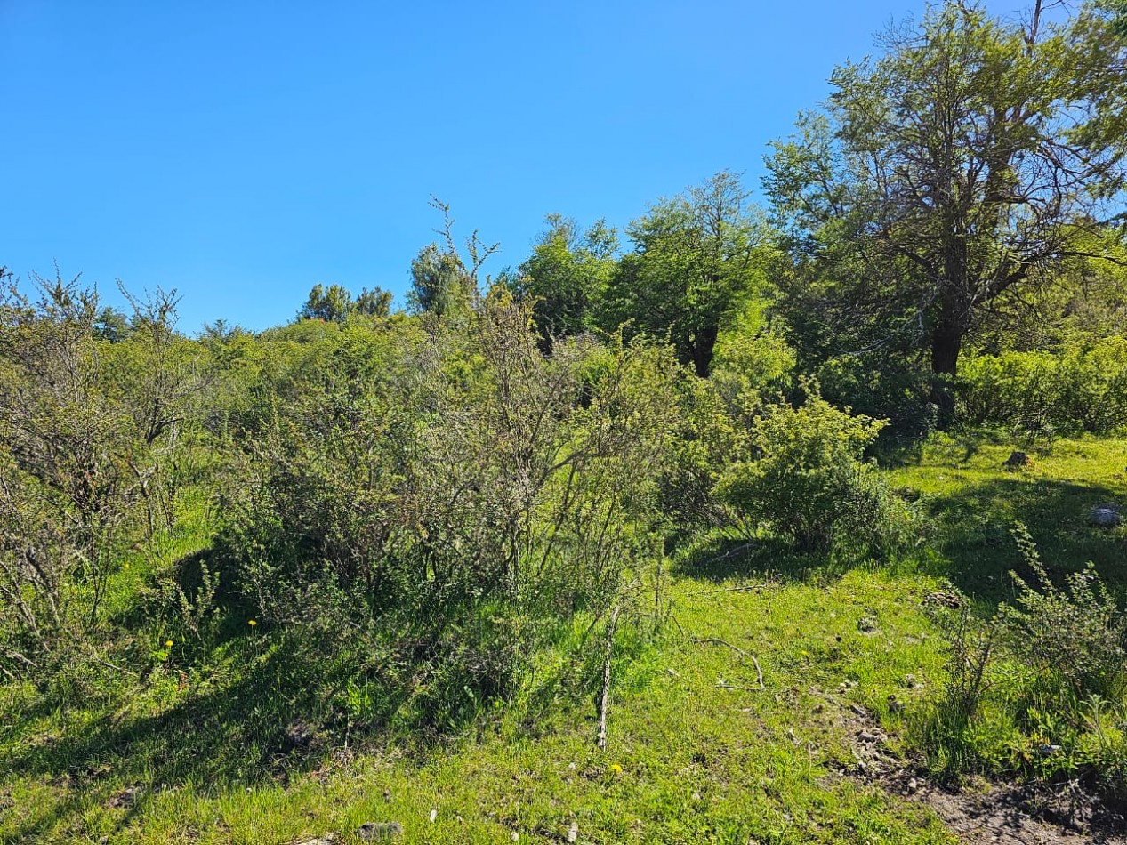 HERMOSO TERRENO EN SECCION LAGO LEZANA CHOLILA CHUBUT