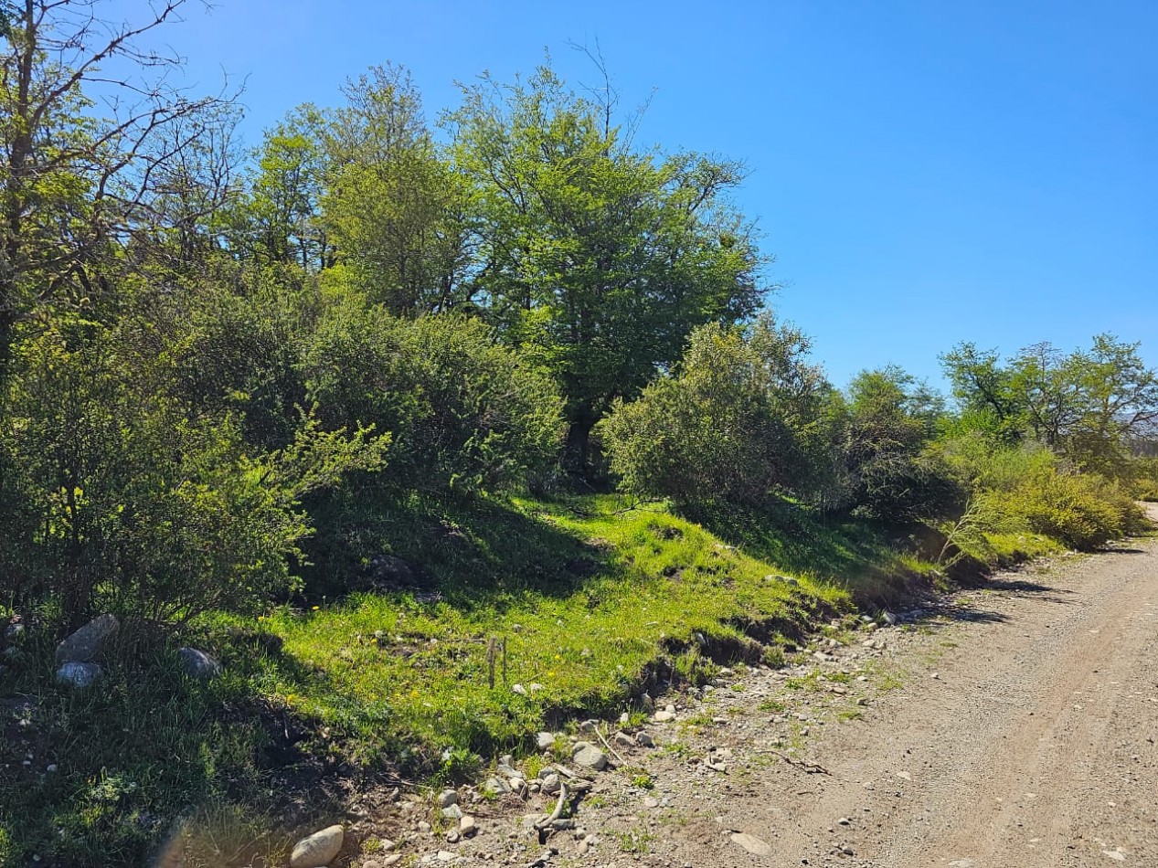 HERMOSO TERRENO EN SECCION LAGO LEZANA CHOLILA CHUBUT