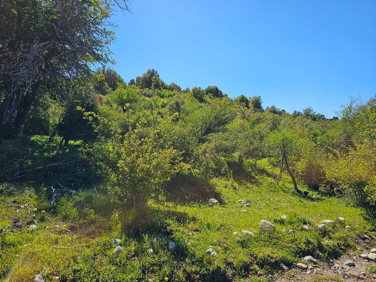 HERMOSO TERRENO EN SECCION LAGO LEZANA CHOLILA CHUBUT