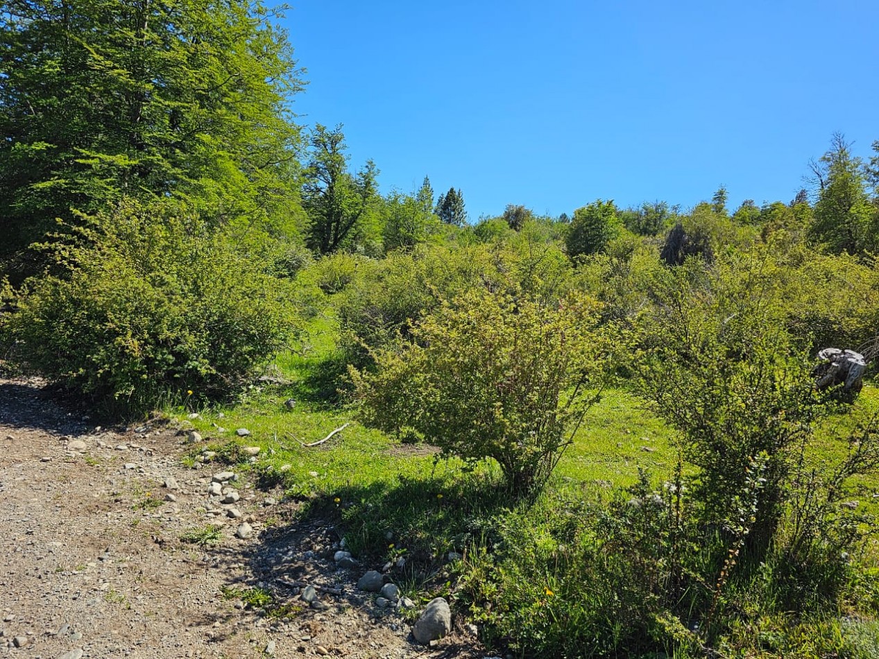 HERMOSO TERRENO EN SECCION LAGO LEZANA CHOLILA CHUBUT