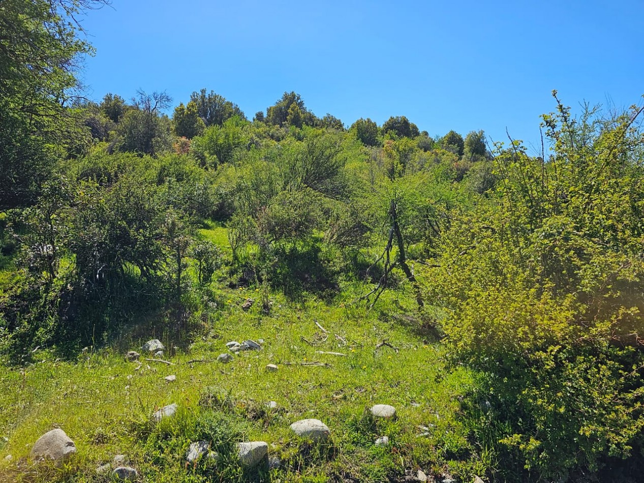 HERMOSO TERRENO EN SECCION LAGO LEZANA CHOLILA CHUBUT