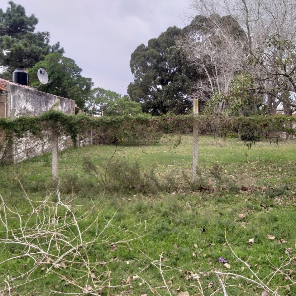 Lote 800M2 Playa norte Av IX y 47 