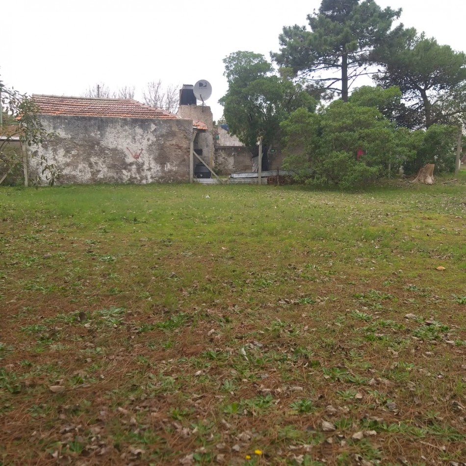 Lote 800M2 Playa norte Av IX y 47 
