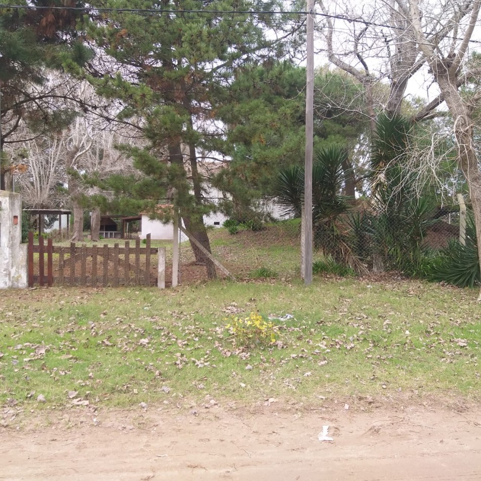 Lote 800 M2 con gran casa al fondo Zona Norte 