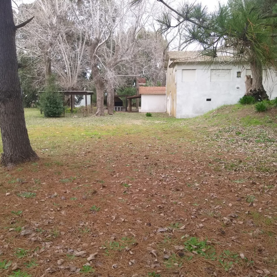 Lote 800 M2 con gran casa al fondo Zona Norte 
