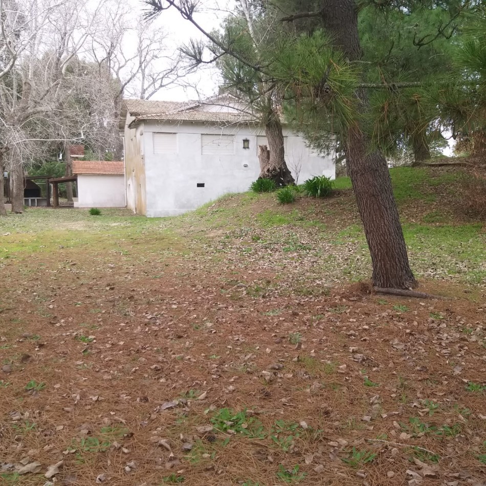 Lote 800 M2 con gran casa al fondo Zona Norte 