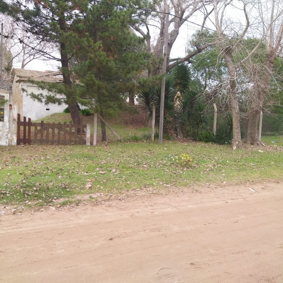 Lote 800 M2 con gran casa al fondo Zona Norte 
