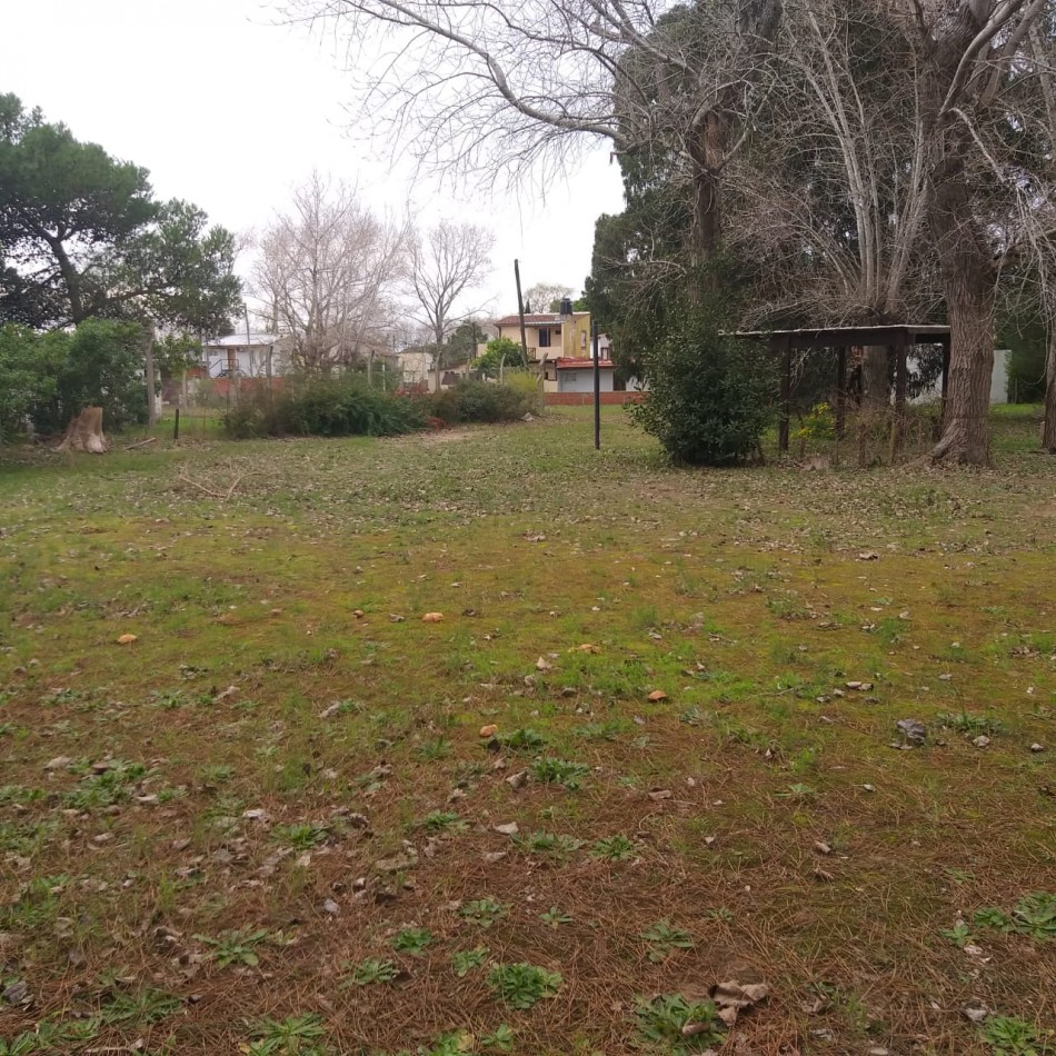 Lote 800 M2 con gran casa al fondo Zona Norte 