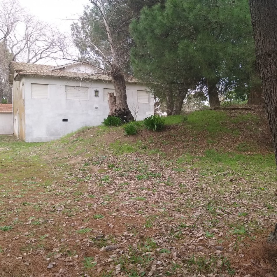 Lote 800 M2 con gran casa al fondo Zona Norte 