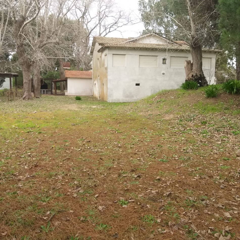 Lote 800 M2 con gran casa al fondo Zona Norte 
