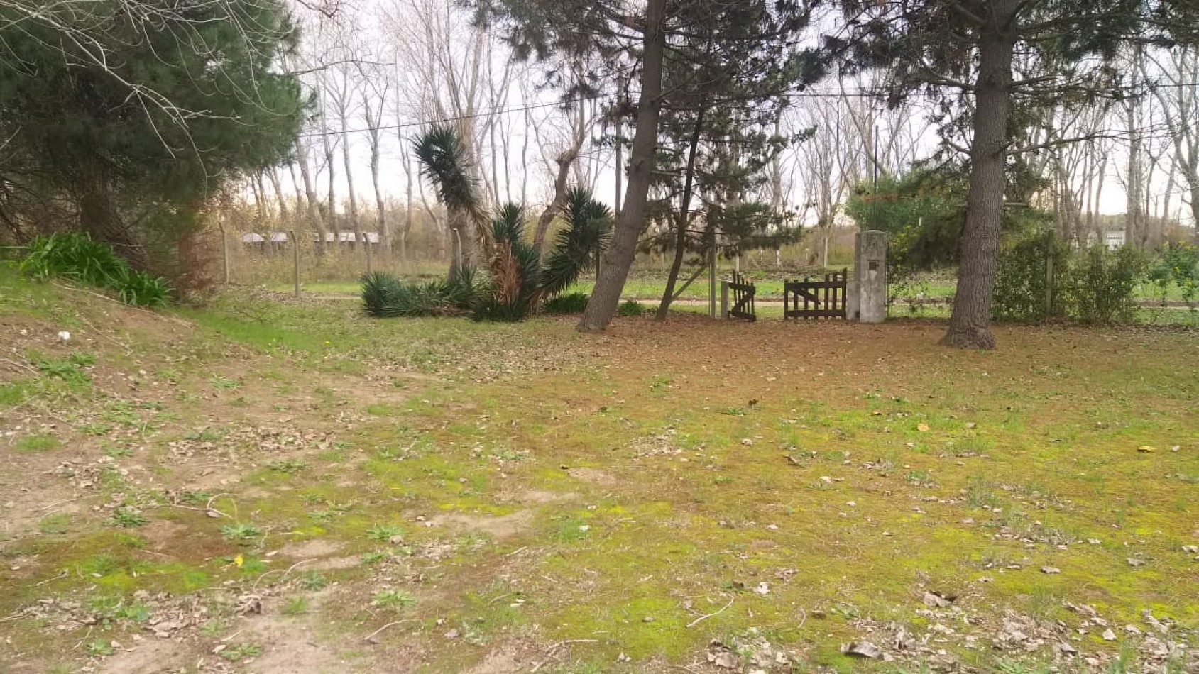 Lote 800 M2 con gran casa al fondo Zona Norte 