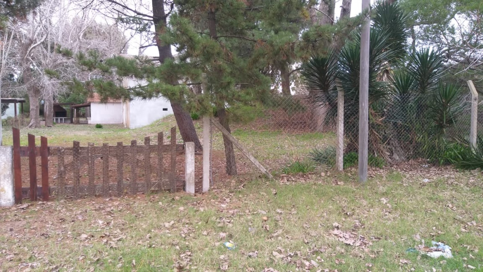 Lote 800 M2 con gran casa al fondo Zona Norte 