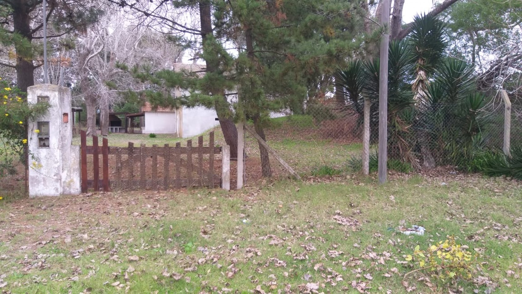 Lote 800 M2 con gran casa al fondo Zona Norte 