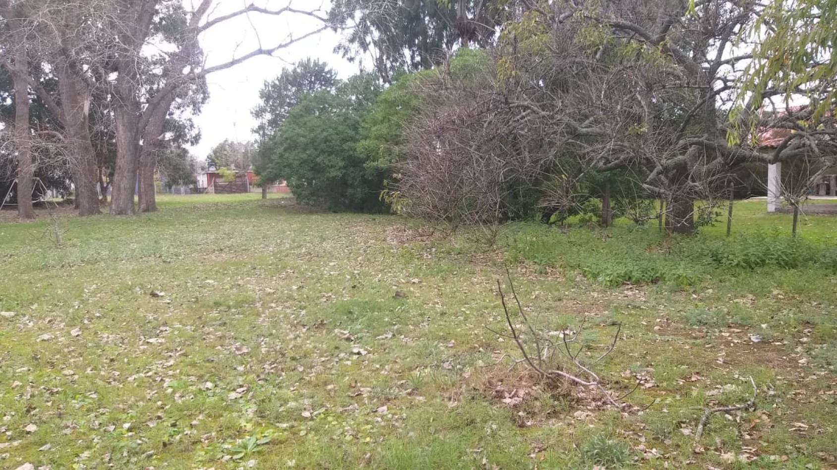 Lote 913M2 calle 48 y IX Zona norte 