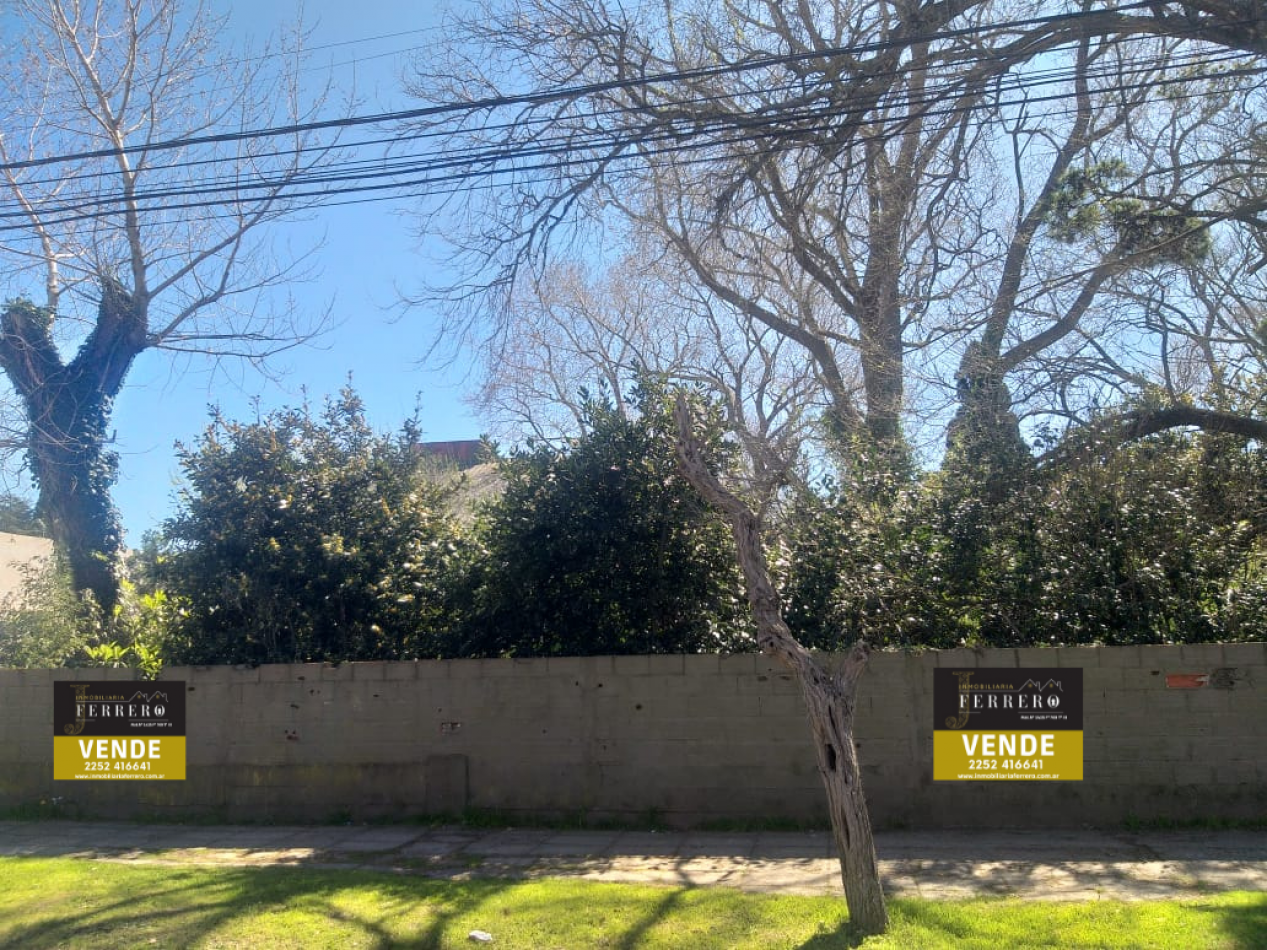 Lote centrico zona Plaza Pereira