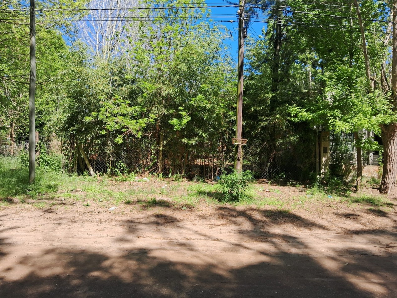 Lote en zona norte 310M2