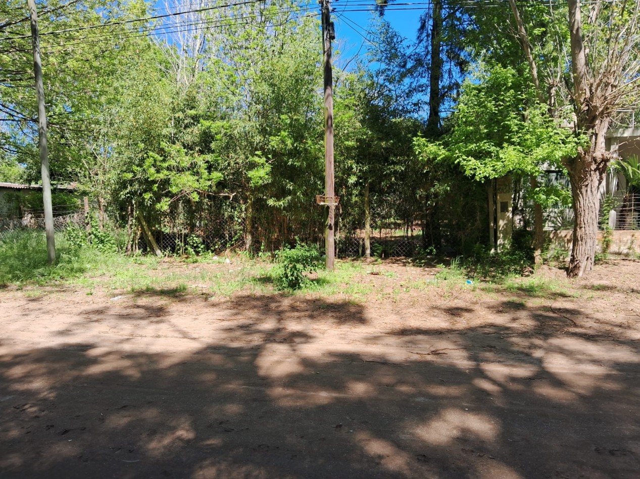 Lote en zona norte 310M2