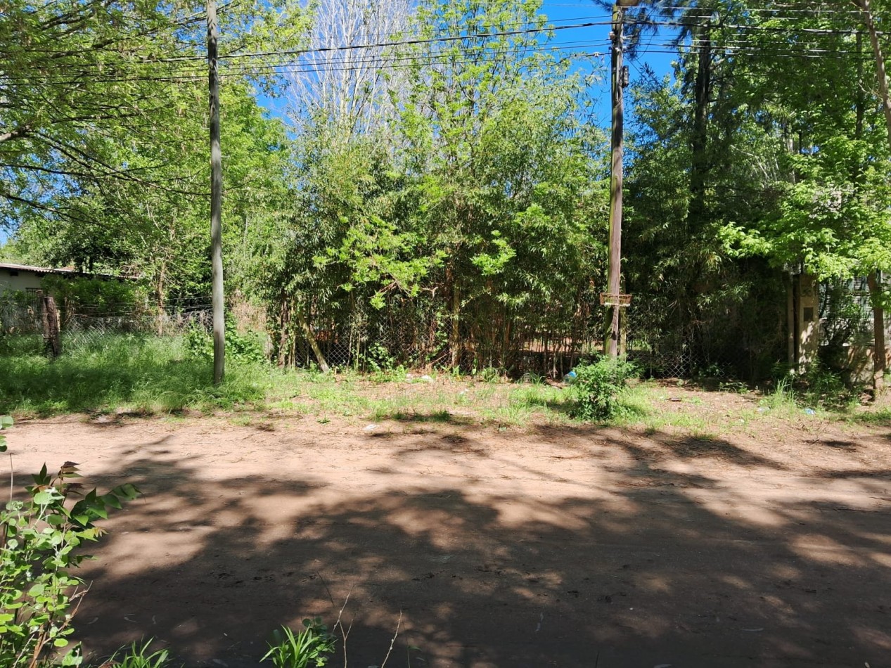 Lote en zona norte 310M2