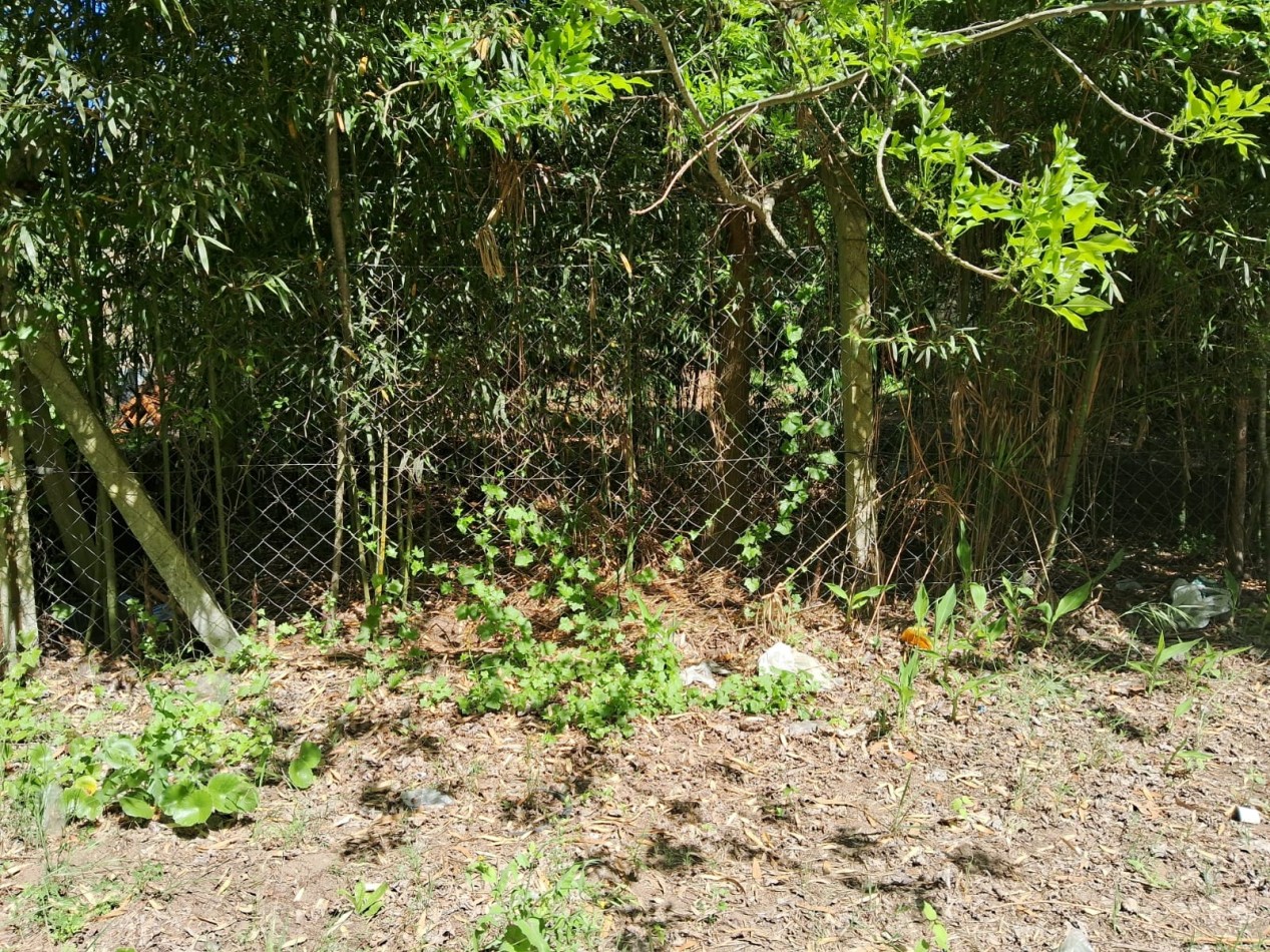 Lote en zona norte 310M2