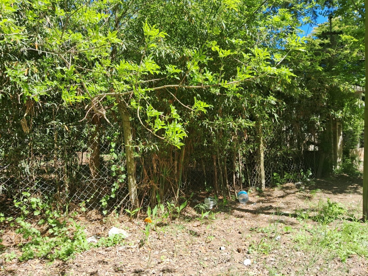 Lote en zona norte 310M2