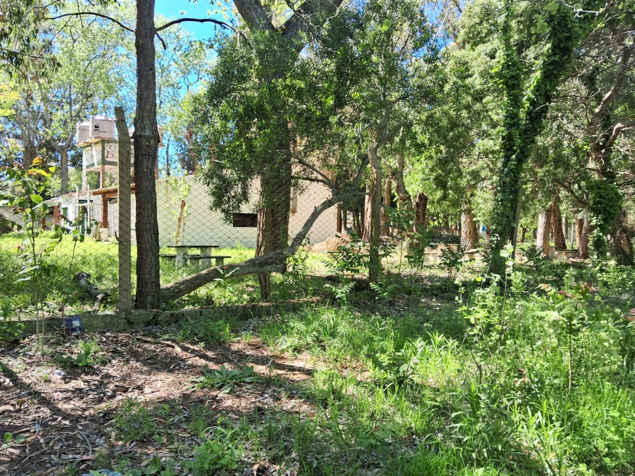 Lote en zona norte 310M2