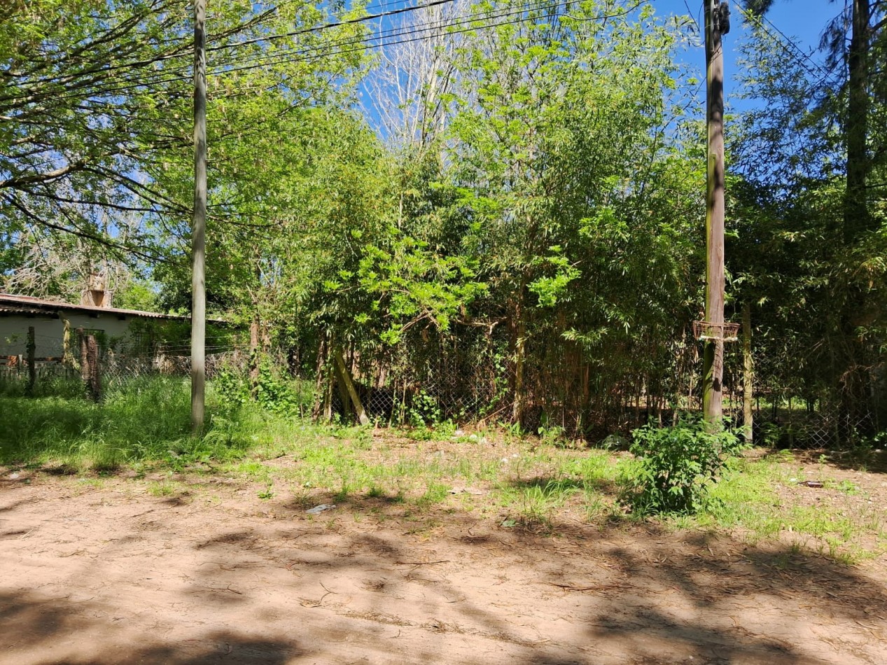 Lote en zona norte 310M2