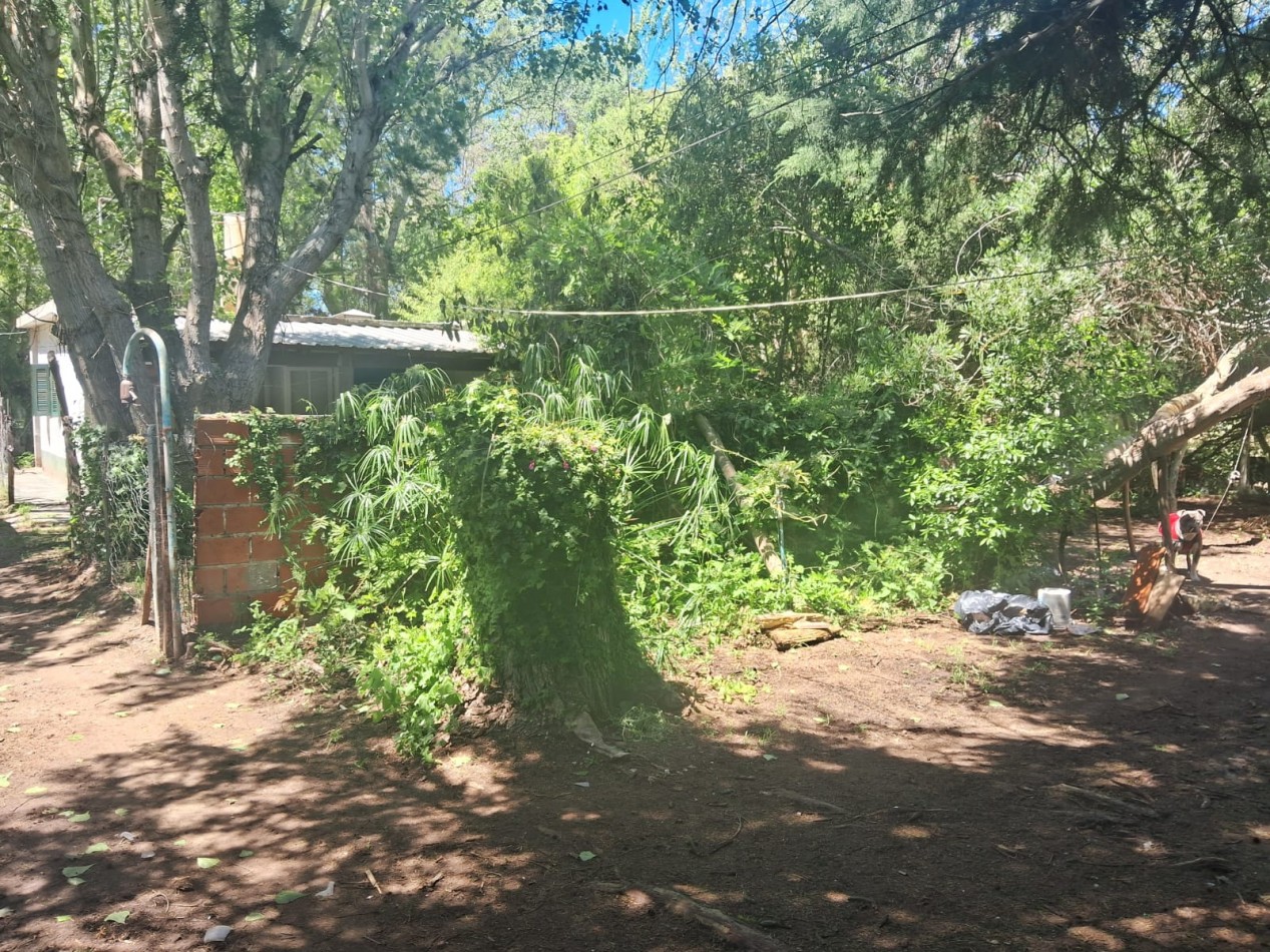 Casa 2 amb a refaccionar en zona norte 