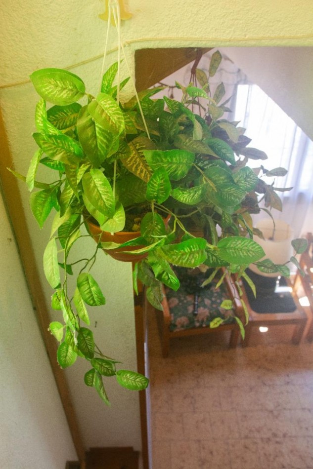 Duplex 3 amb barrio tala 