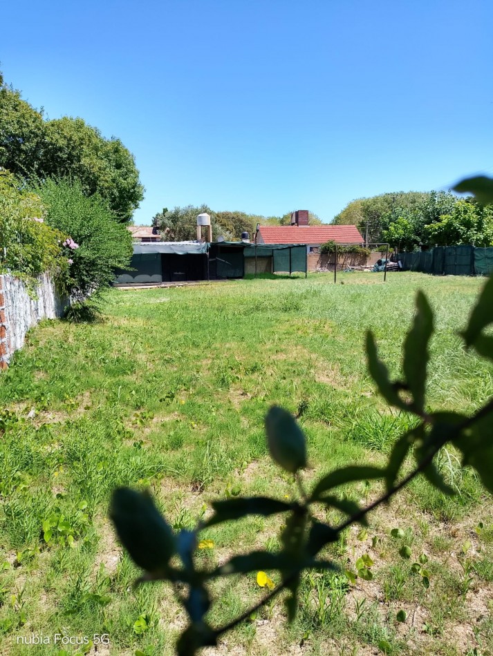 Gran Lote con mejoras centrico 