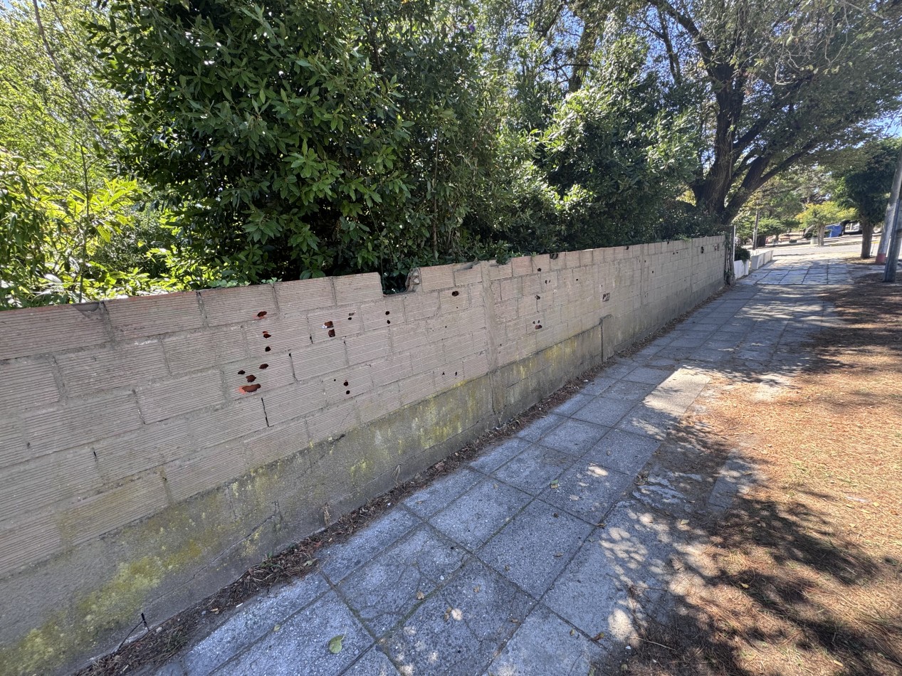 Lote centrico zona Plaza Pereira 