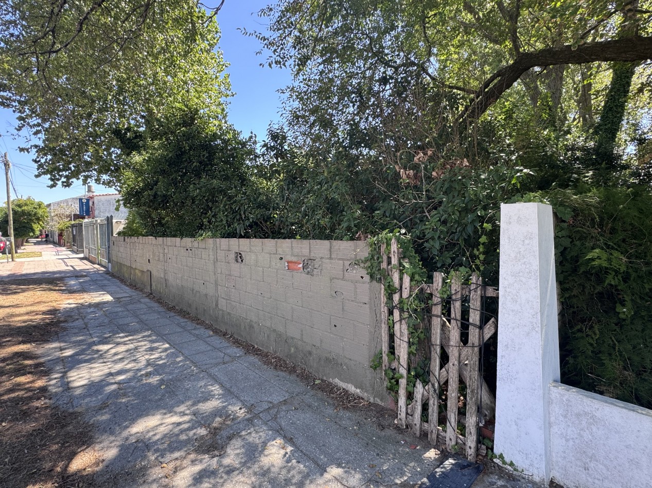 Lote centrico zona Plaza Pereira 