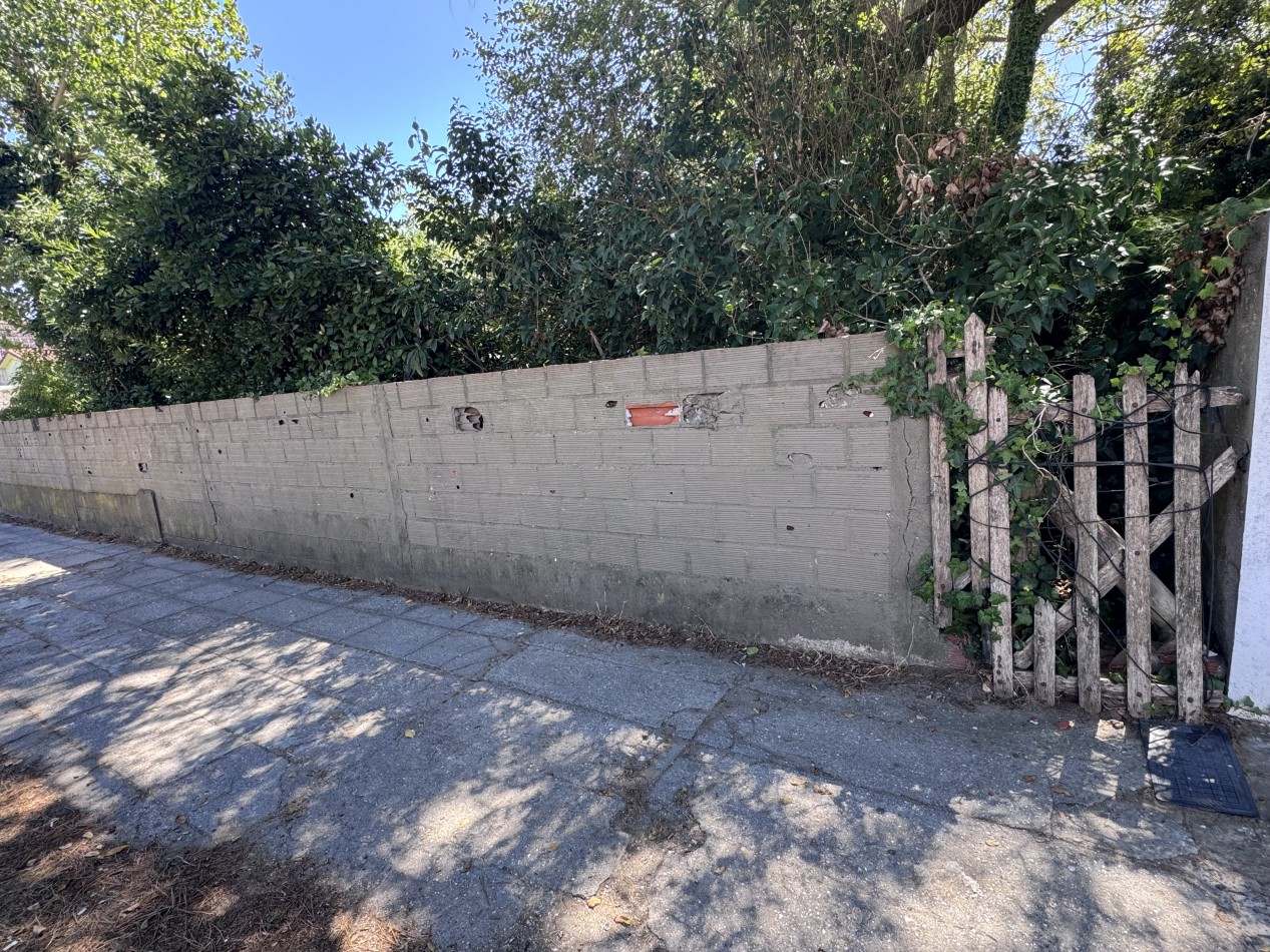 Lote centrico zona Plaza Pereira 