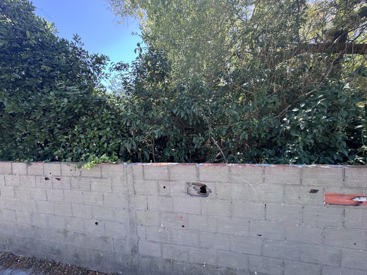 Lote centrico zona Plaza Pereira 