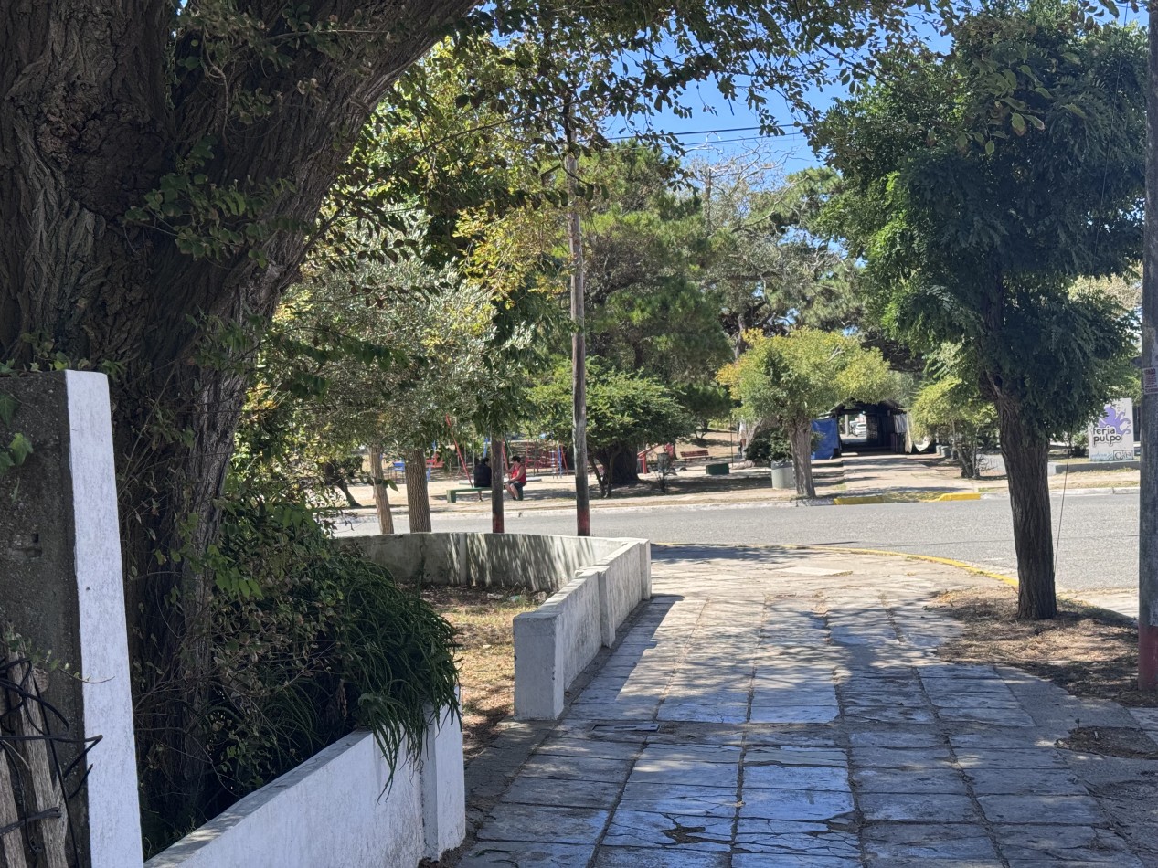 Lote centrico zona Plaza Pereira 