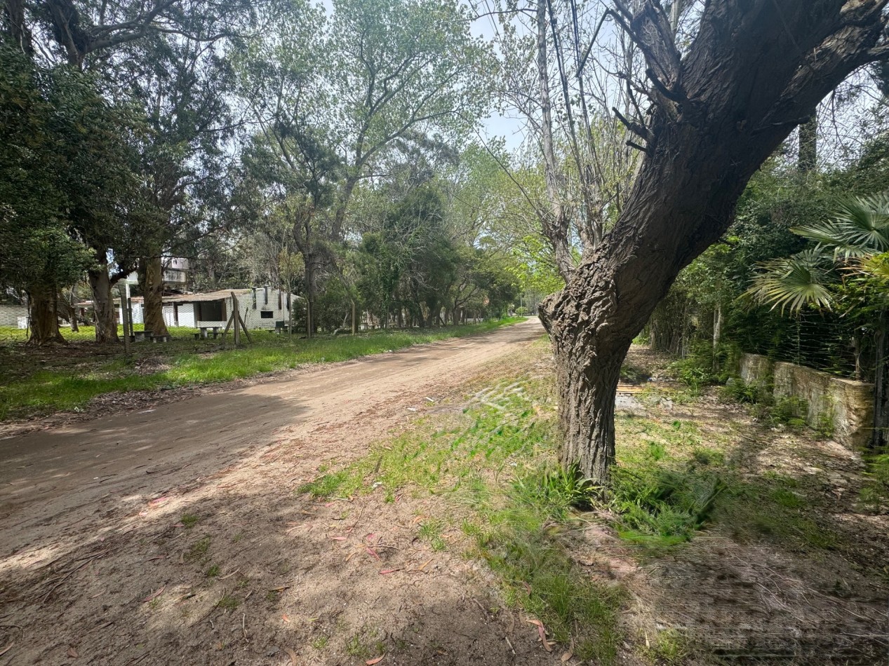 Oportunidad casa 3 Amb a revalorizar 